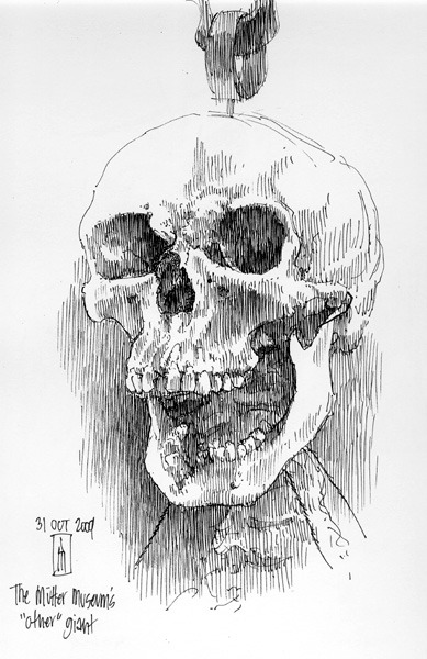 "Skull of a Giant (Mütter Museum)" is copyright © 2009 by James G. Mundie. All rights reserved.  Reproduction prohibited.