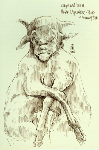 "Conjoined bovine (Musée Dupuytren)" is copyright © 2008 by James G. Mundie. All rights reserved.  Reproduction prohibited.