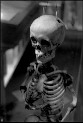 "Dwarf skeleton" is copyright  2008 by James G. Mundie. All rights reserved.  Reproduction prohibited.