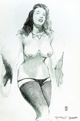"Tempest Storm" is copyright © 2002 by James G. Mundie. All rights reserved.  Reproduction prohibited.